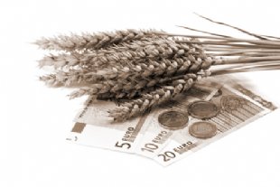 euros and crops for cap & subsidies header